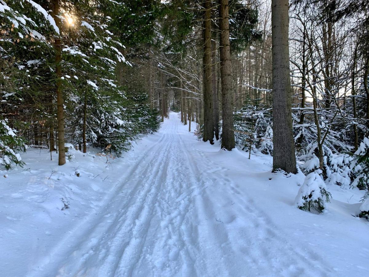 Haus Donnerberg Rehefeld Apartment Altenberg ภายนอก รูปภาพ