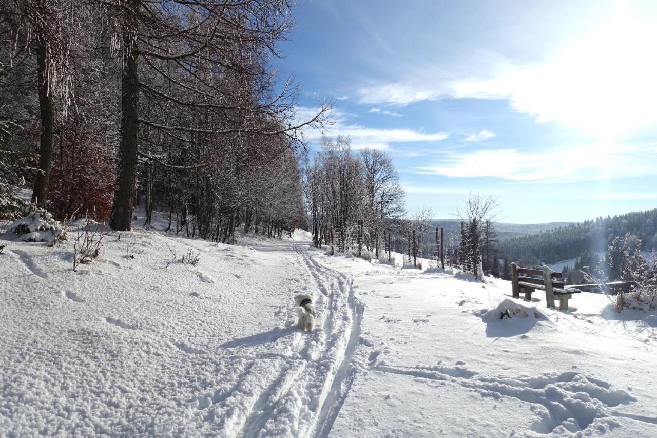 Haus Donnerberg Rehefeld Apartment Altenberg ภายนอก รูปภาพ