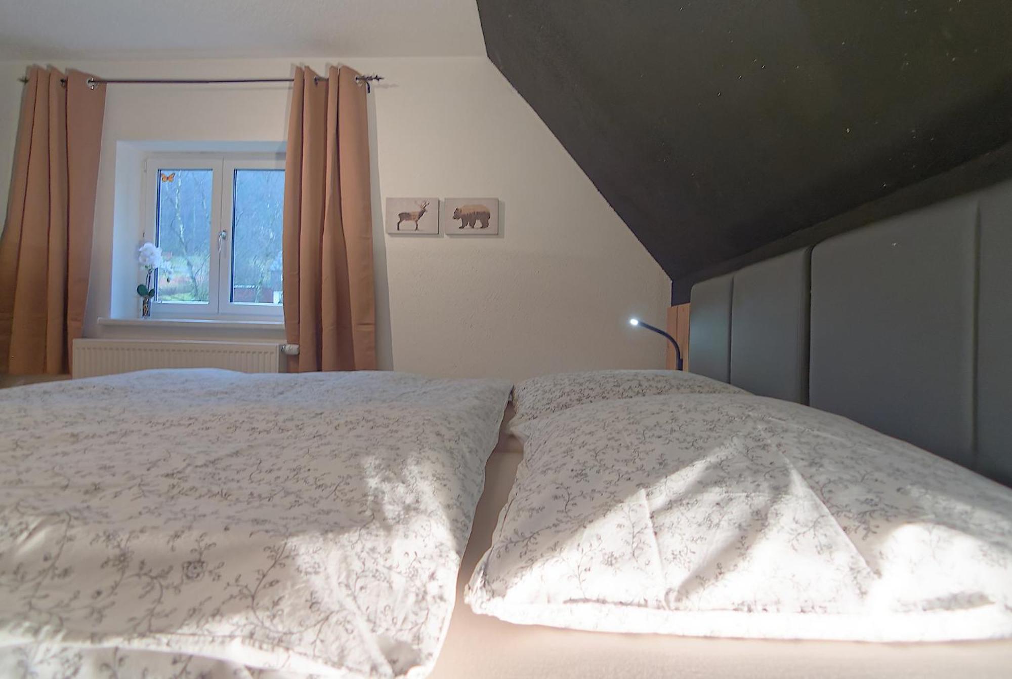 Haus Donnerberg Rehefeld Apartment Altenberg ภายนอก รูปภาพ